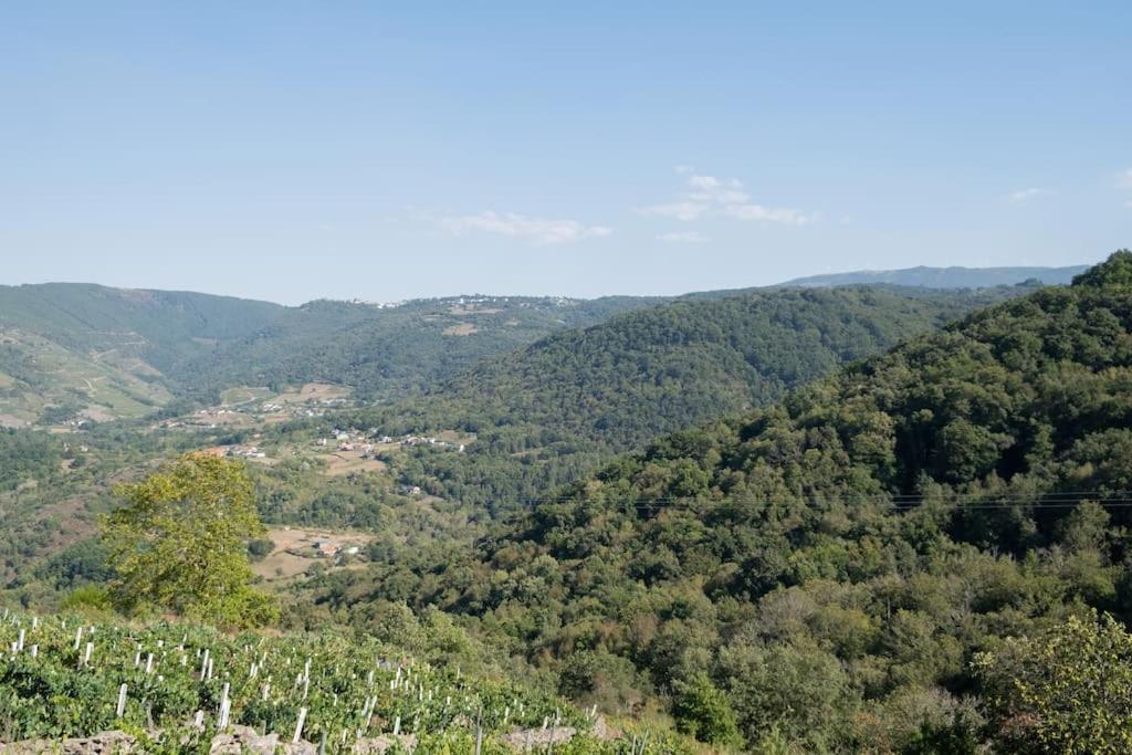 La Teijeira Pension Boutique Teixeira, 3 Estrellas מראה חיצוני תמונה